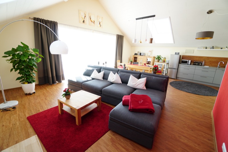 Wohnraum mit Couch, Esstisch und Küche